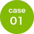 case 01